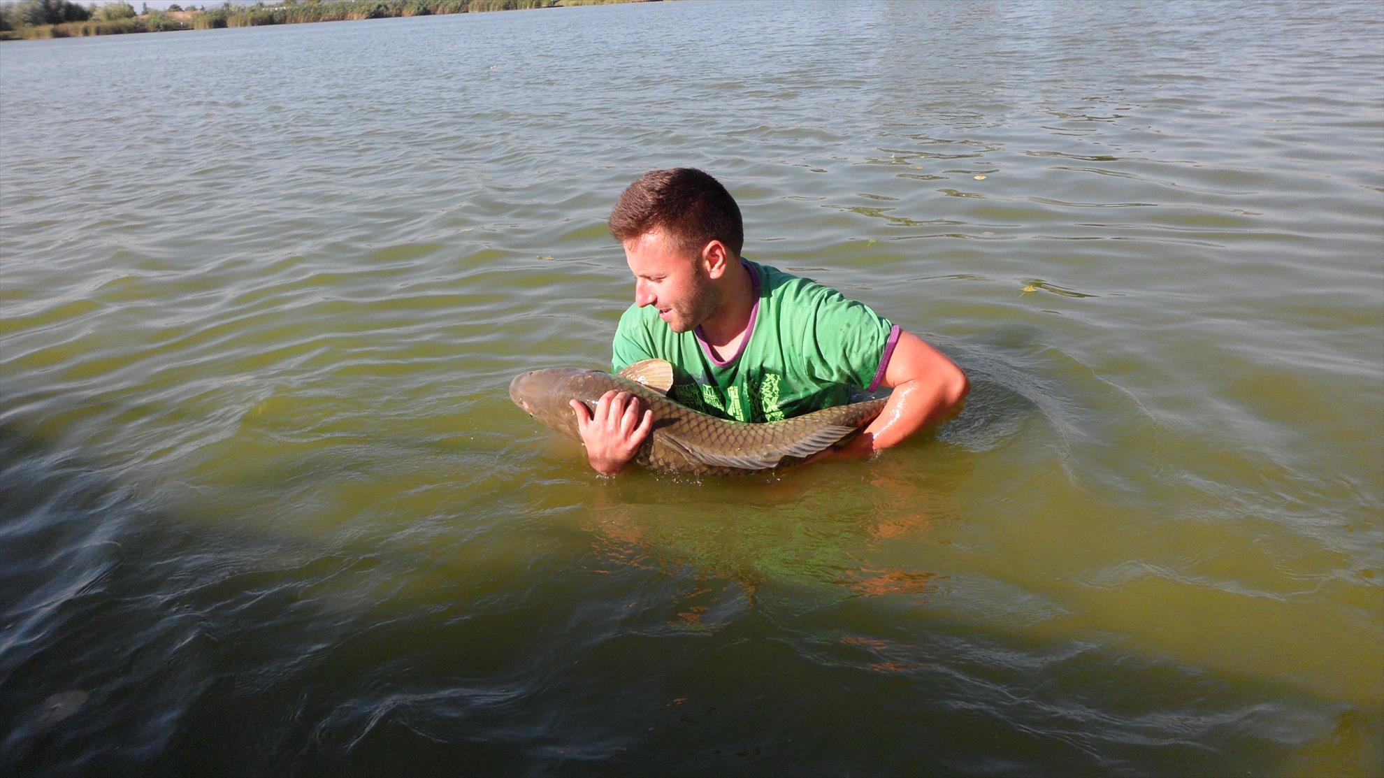 Pleasa1 18 - 20 august 2014 - sam01521.JPG